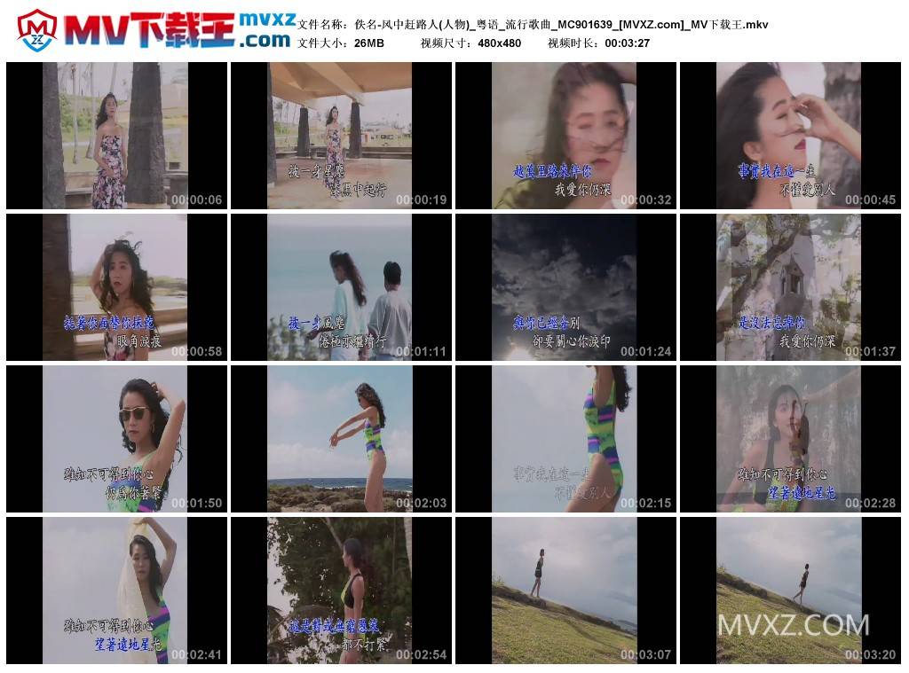 佚名-风中赶路人(人物)_粤语_流行歌曲_MC901639